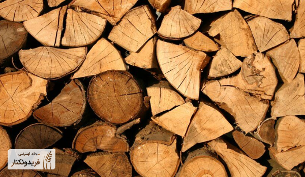 چوب راش - الوار چوب راش - بافت چوب راش
